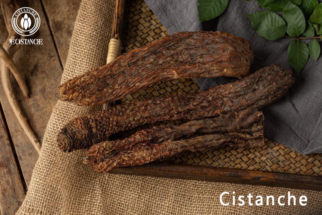 Cistanche is a good medicine for invigorating the kidney and prolonging life