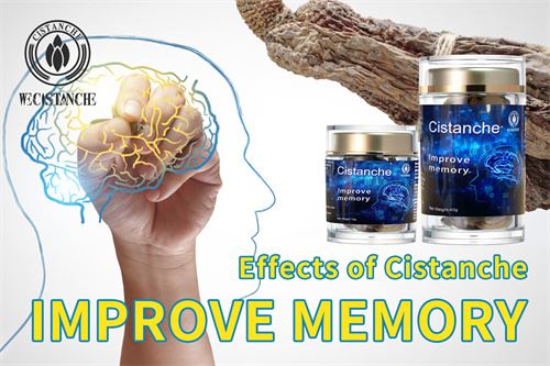 Cistanche relieve Alzheimer's disease