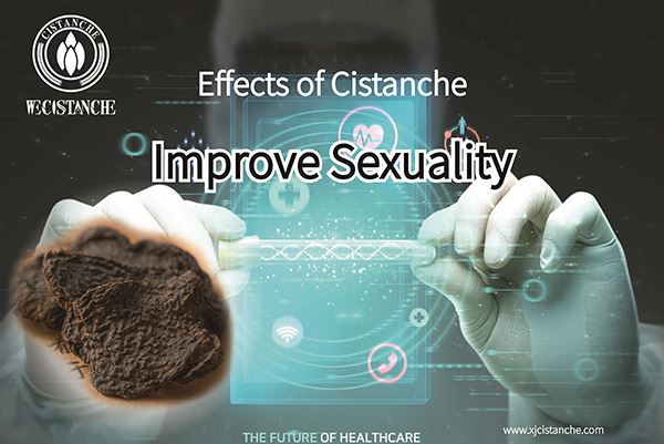 cistanche can improve kidney function