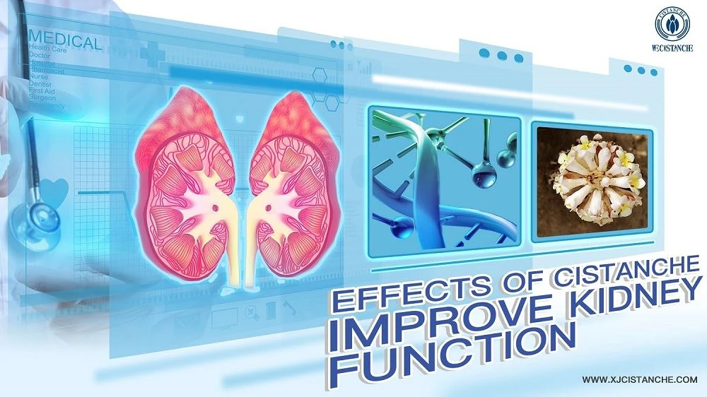 Acute and chronic kidney disease is a major global health problem Acute and chronic kidney disease is a major global health problem