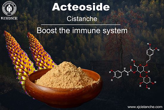 Cistanche deserticola boost the immunity