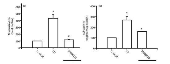 Cistanche deserticola is good for bone formation