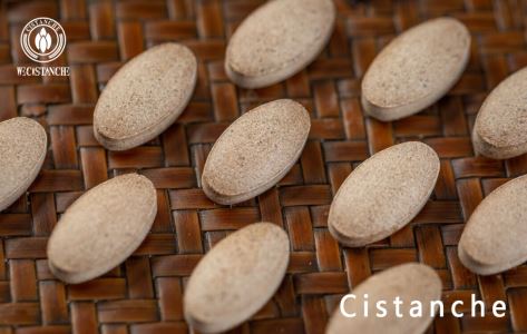 cistanche-anti-fatigue cistanche-anti-fatigue