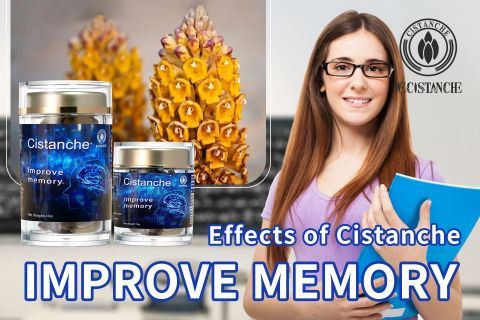 improve memory herbs