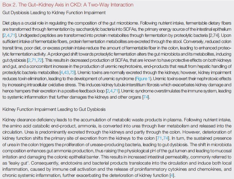 Box 2. The Gut–Kidney Axis in CKD: A Two-Way Interaction
