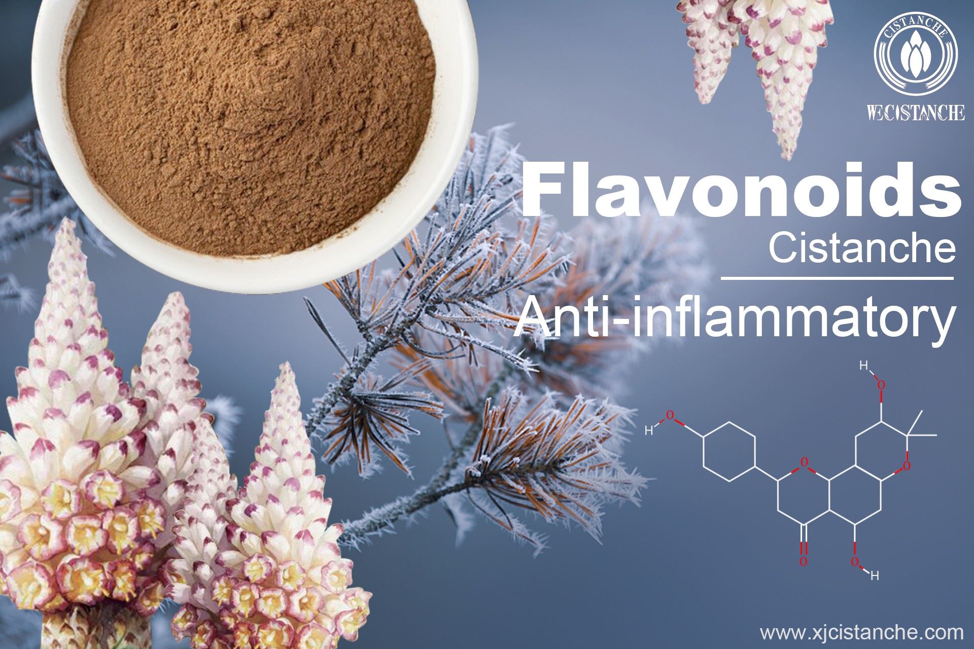 Flavonoids of Cistanche