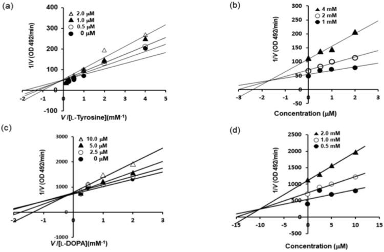 Figure 2. Lineweaver–Burk (a,c) and Dixon (b,d) plots for tyrosinase enzyme inhibition by BHCP.