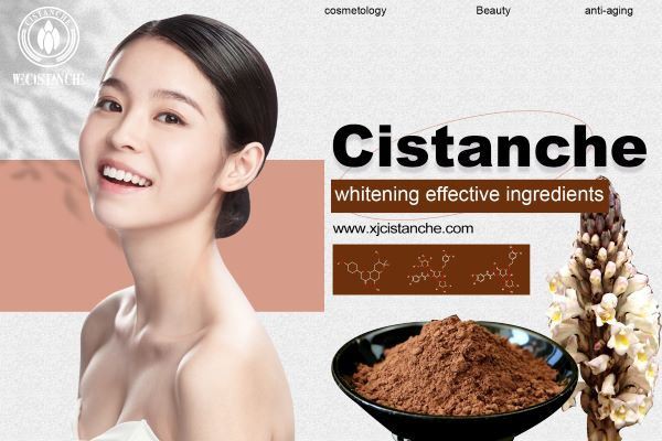 Cistanche is a potent whitening product.