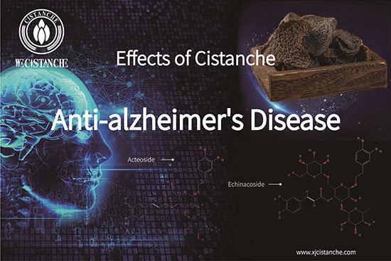 Anti Alzheimer's disease (11)