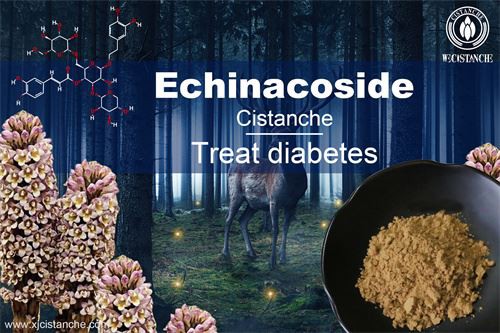 Cistanche deserticola prevents kidney disease