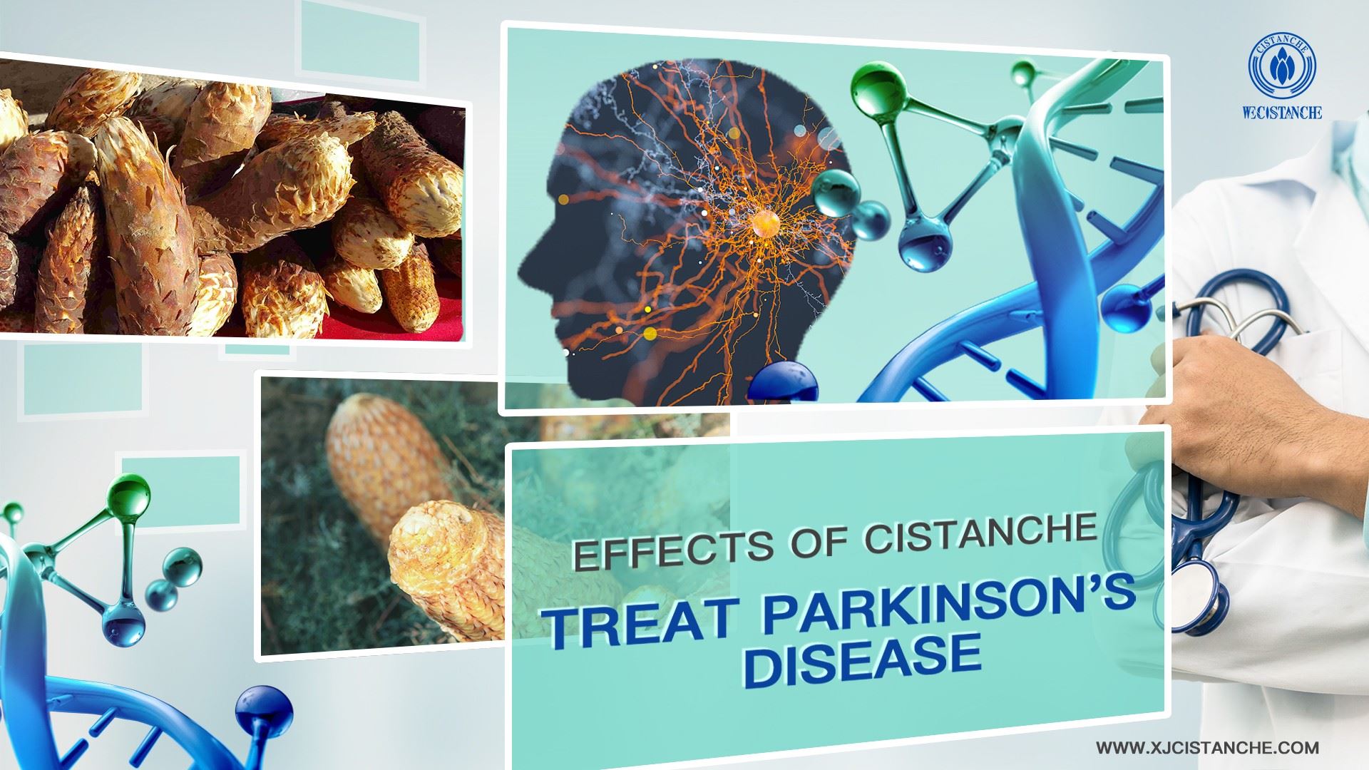how to prevent parkinson's disease how to prevent parkinson's disease