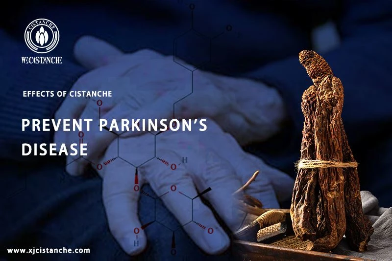 Herb for parkinson's disease