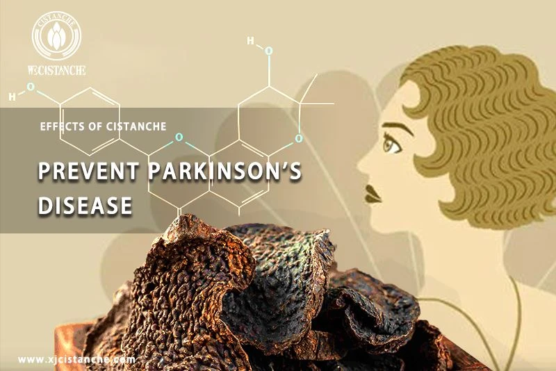 how to prevent parkinson's diseas