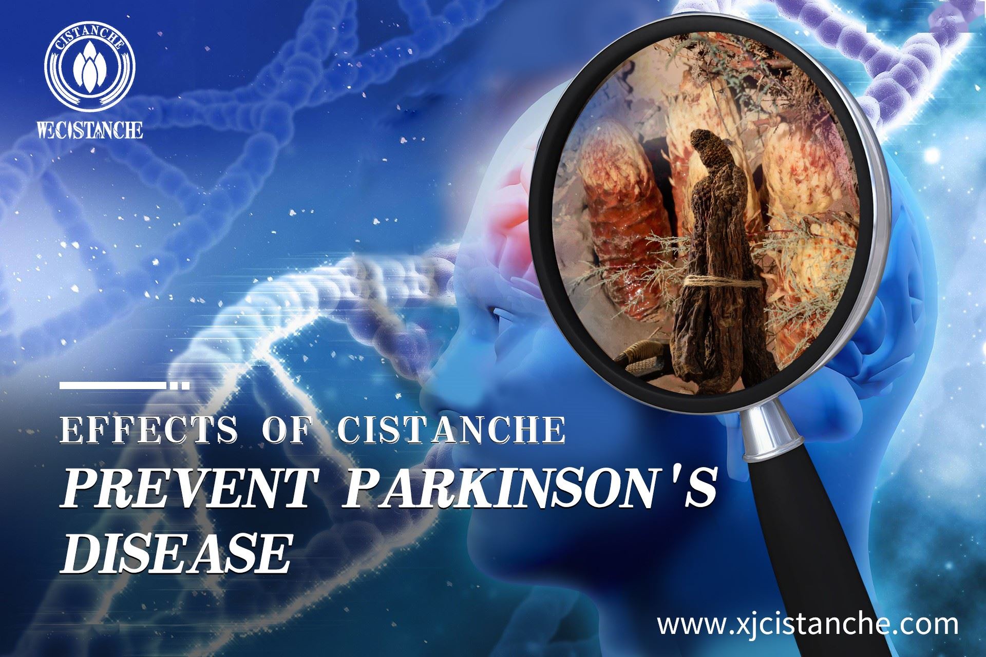 the way to prevent parkinson's diease