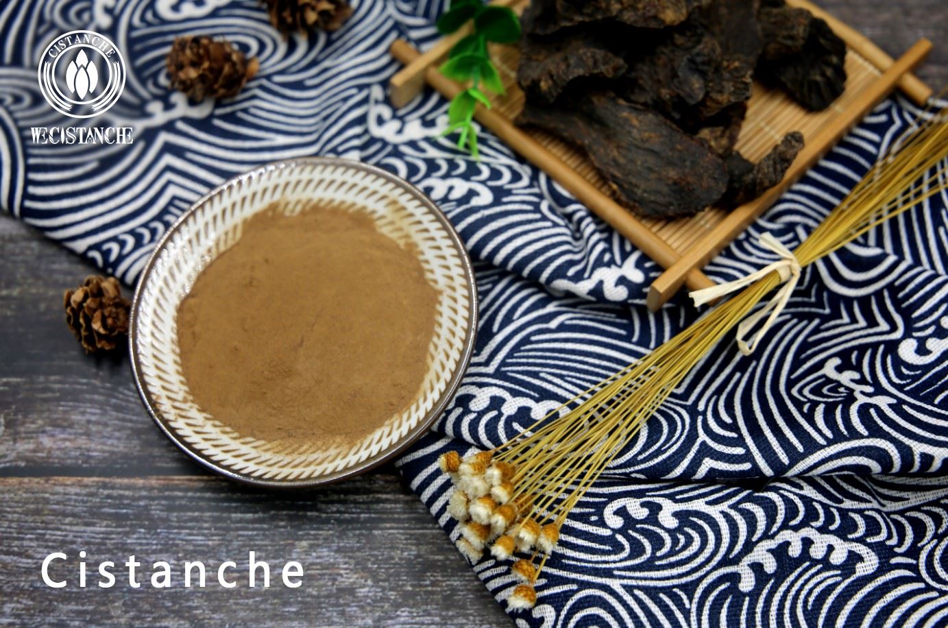 Cistanche tubulosa extract Cistanche tubulosa extract