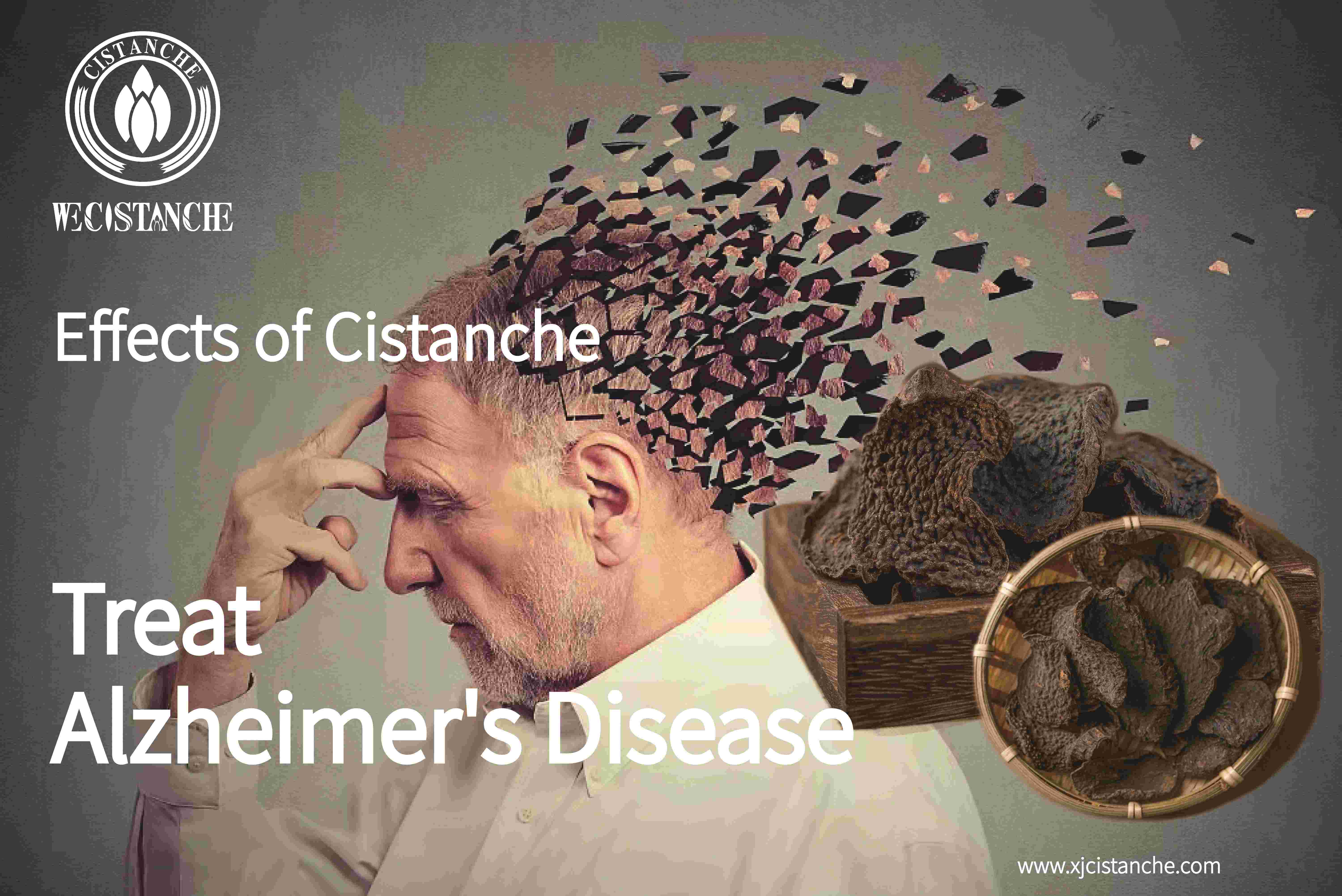 how to treat Alzheimer's disease