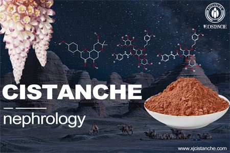 cistanche-nephrology-3(39) cistanche-nephrology-3(39)