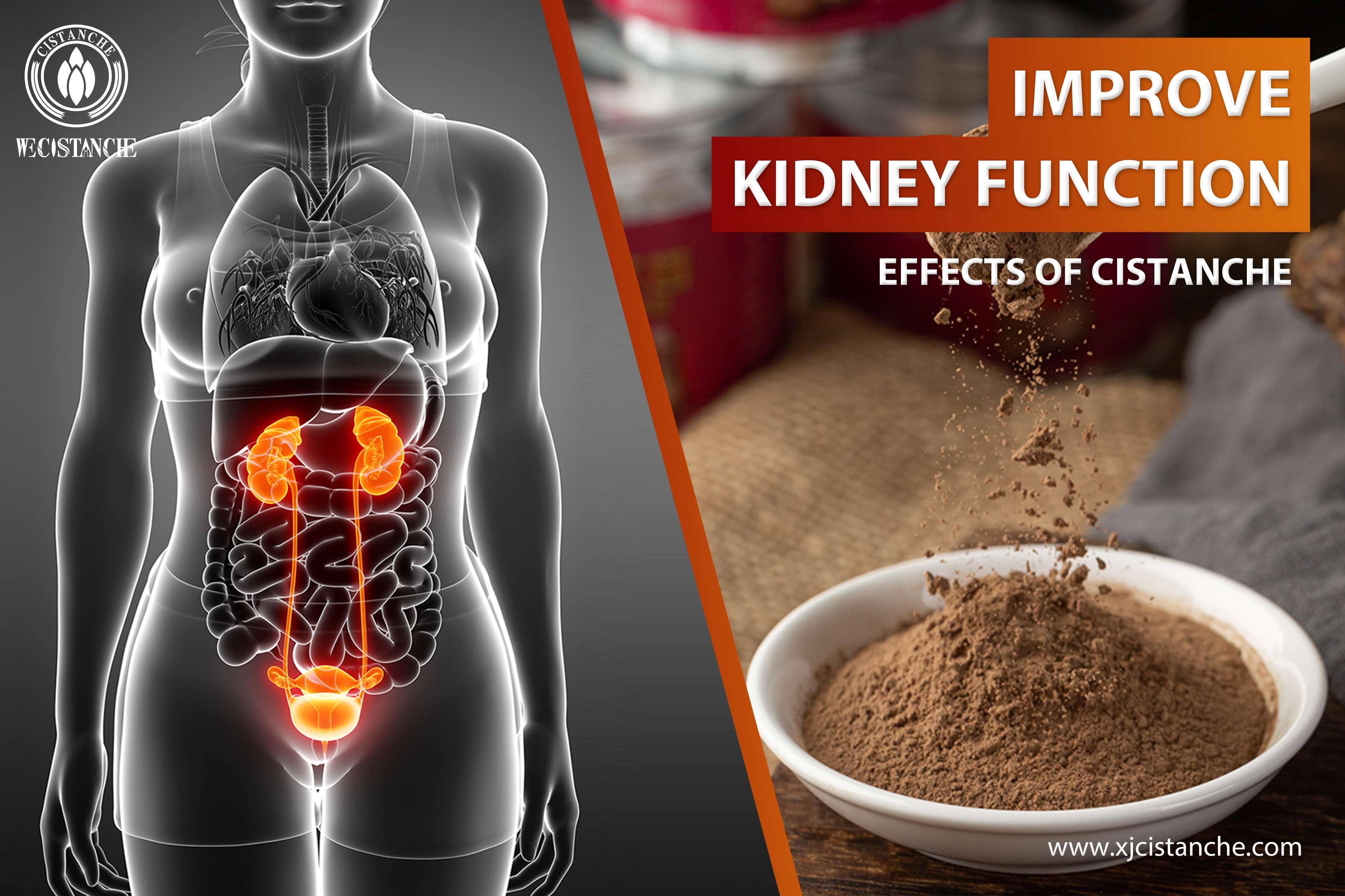 how to treat kidney disease how to treat kidney disease