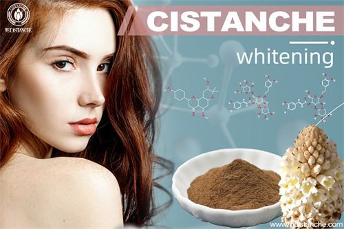cistanche have the function of whitening skin cistanche have the function of whitening skin