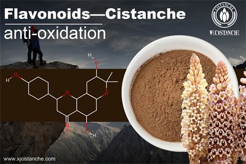 ANTI-OXIDATION AND SKIN WITHENING: CISTANCHE EXTARCT