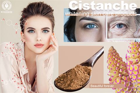 Cistanche improve skin whitening 