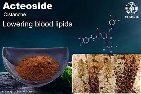 cistanche benefits on liver prevetion