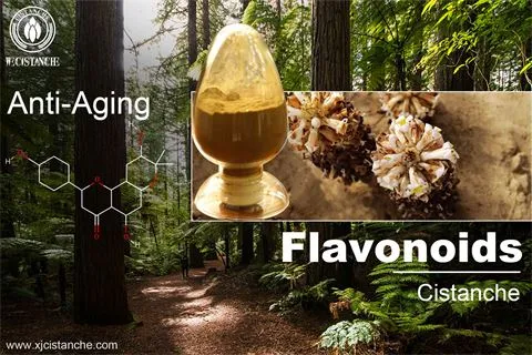 phytochemicals anti aging