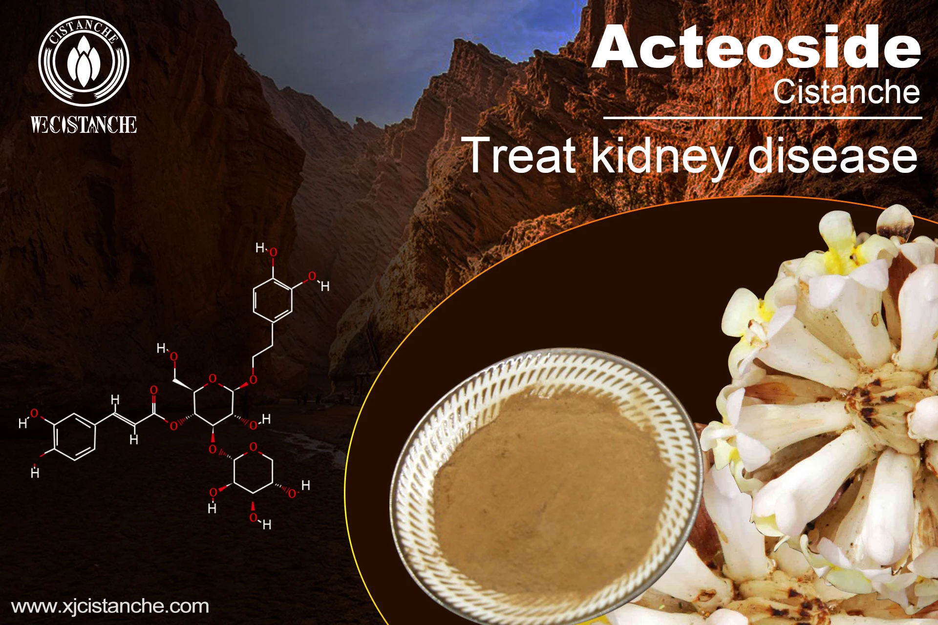the best herb for kidney failure the best herb for kidney failure