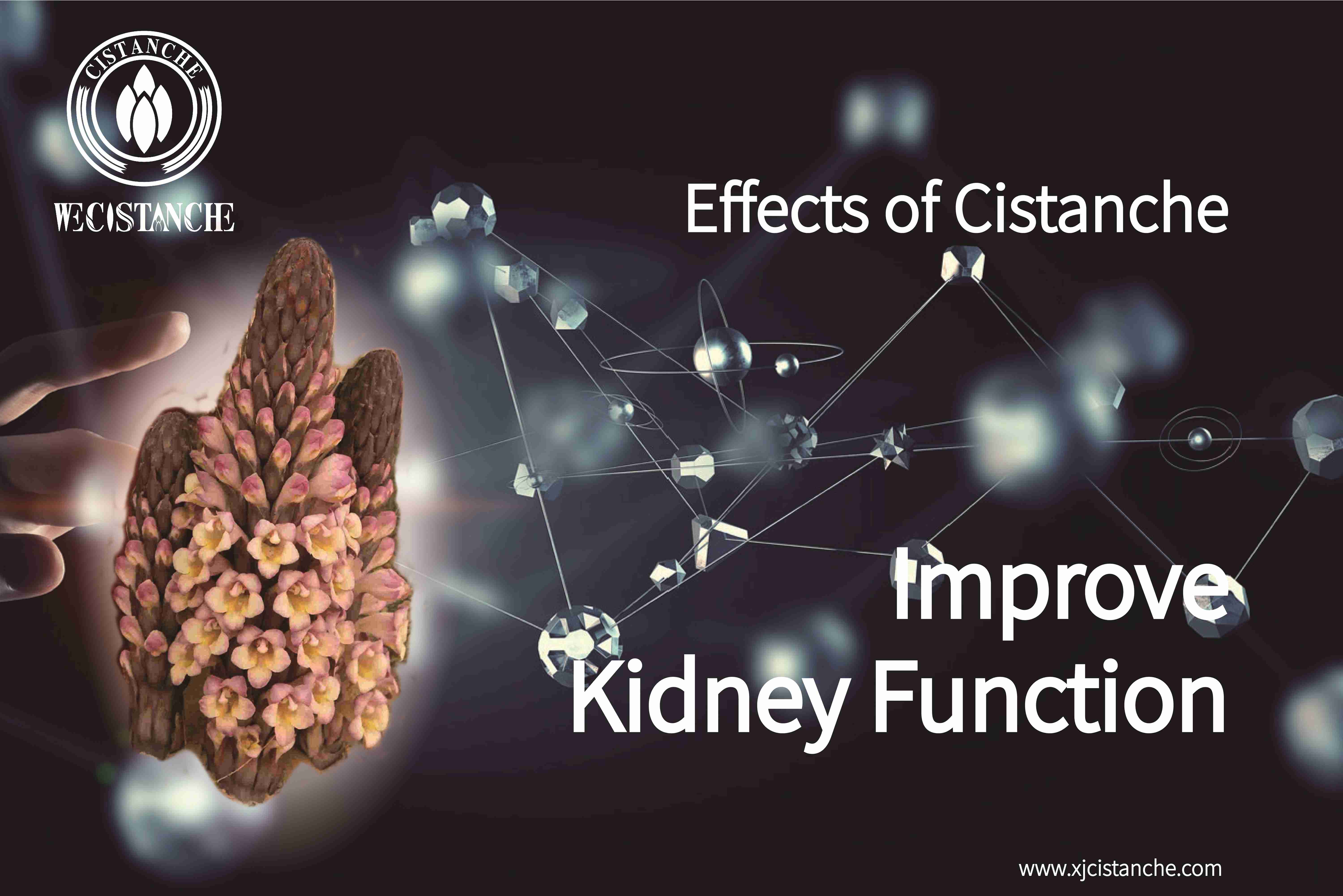 how to improve kidney function