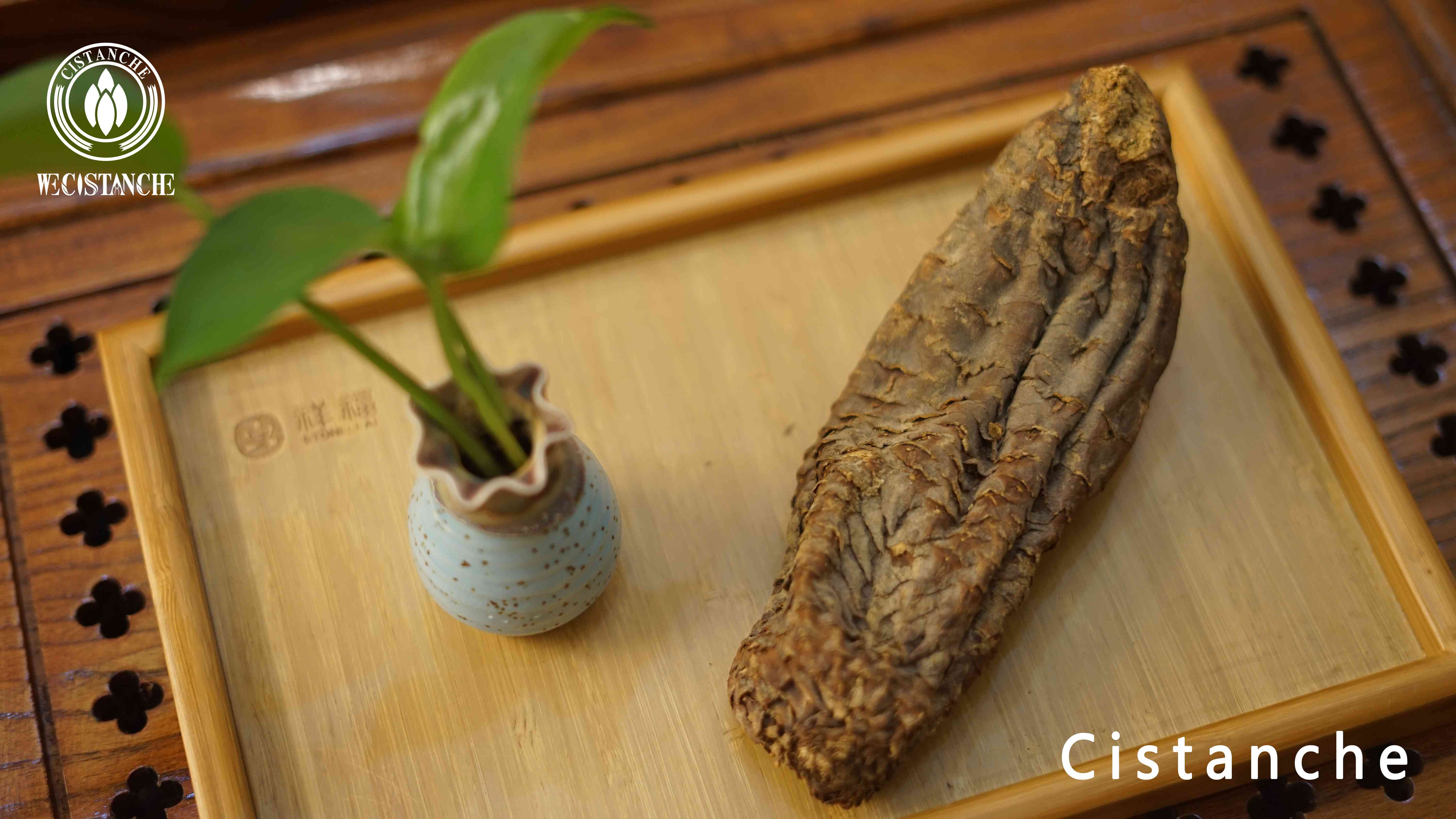 Cistanche raw material Cistanche raw material