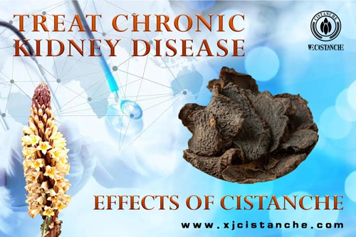 how to treat chronic kidney disease how to treat chronic kidney disease