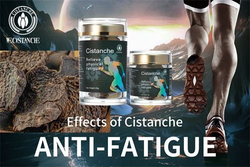 anti-fatigue function cistanche  (33)
