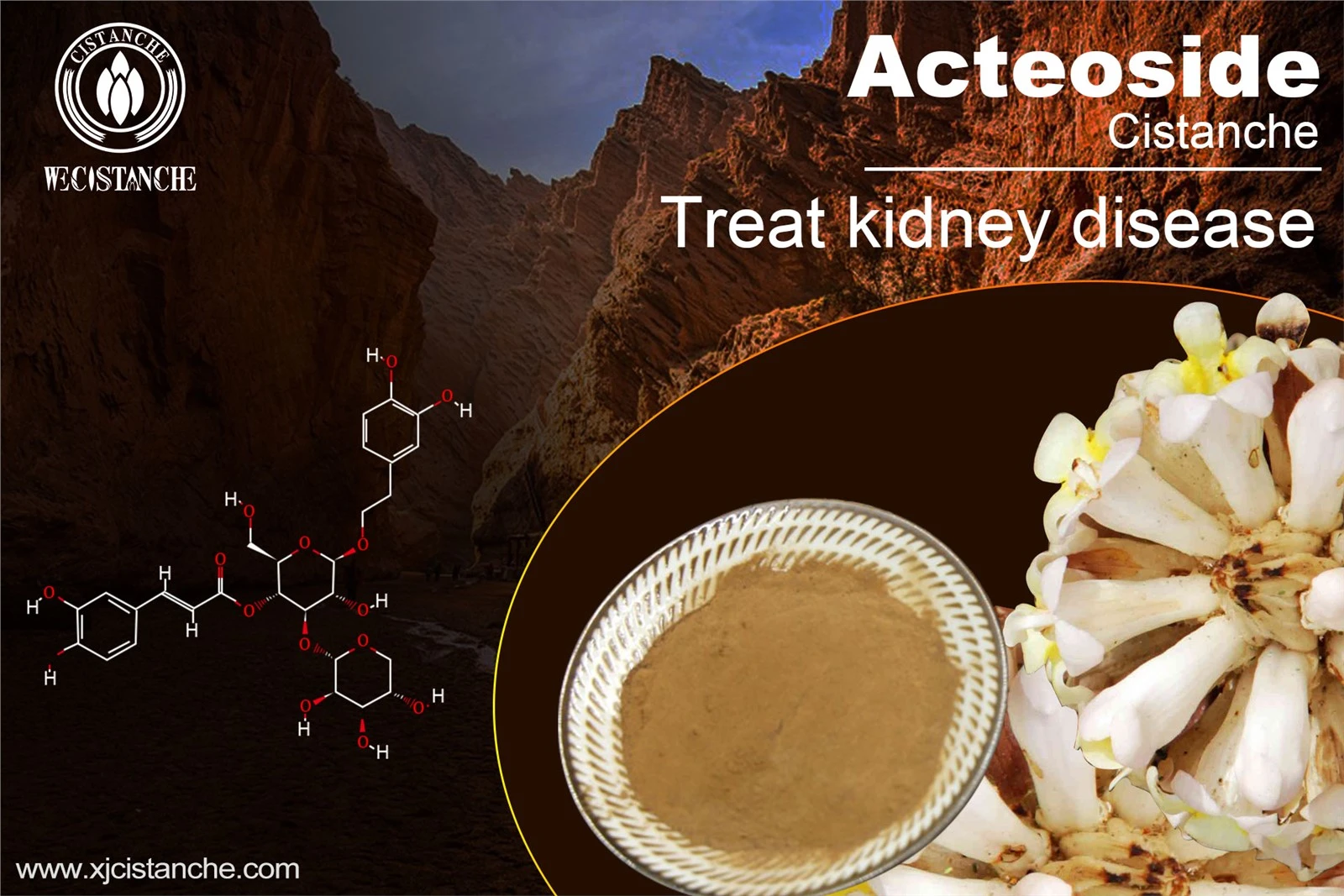 how to treat kidney disease