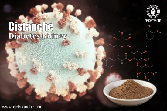 Cistanche Treat Resistant hypertension Cistanche Treat Resistant hypertension