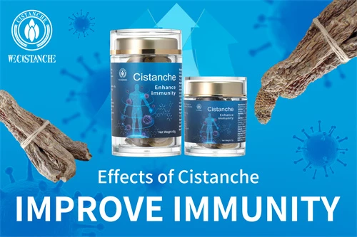 cistanche deserticola supplement