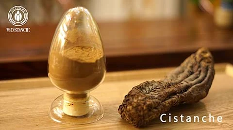 cistanche for hair loss cistanche for hair loss