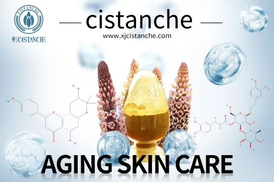 cistanche anti-aging