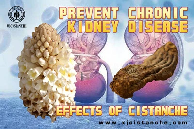 Cistanche Benefits Cistanche Benefits