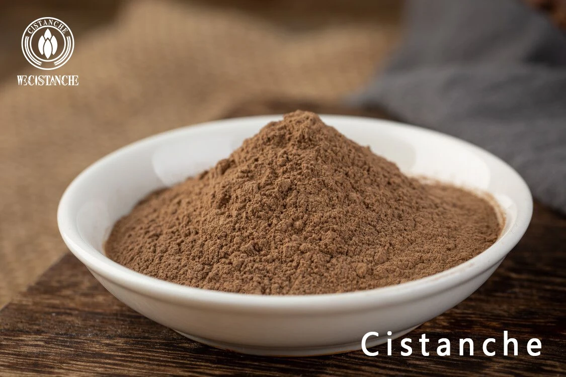 where can i buy cistanche where can i buy cistanche