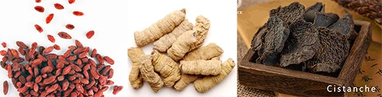 Chinese medicinal materials such as cistanche deserticola
