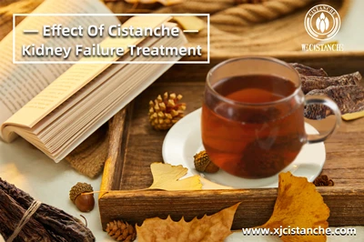 Cistanche  benefits