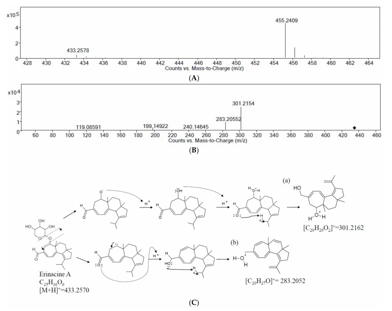 cistanche research