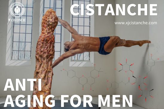 cistanche research for antioxditive