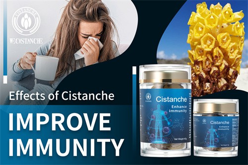 cistanche penis growth cistanche penis growth