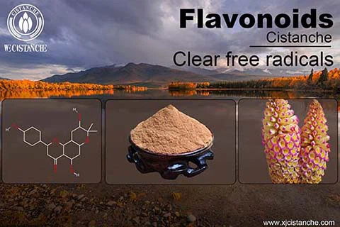 Flavonoid (11)