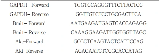 Table 1 RT PCR amplified primer sequences Table 1 RT PCR amplified primer sequences