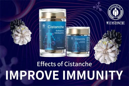 herba cistanches side effects herba cistanches side effects