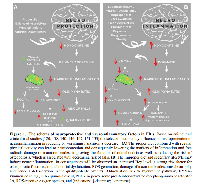 improve working memory improve working memory