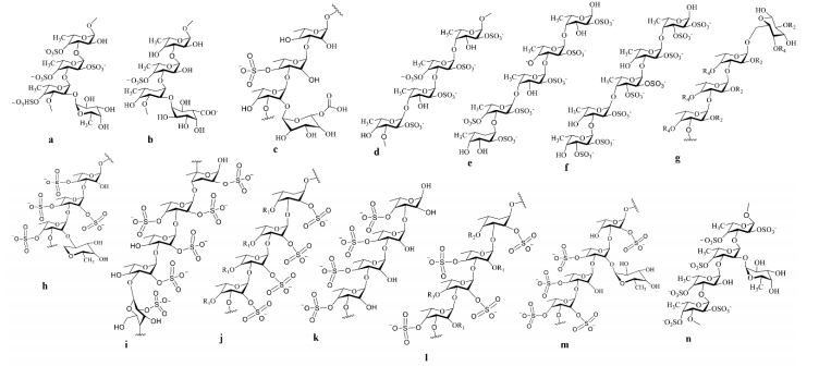 figure 3. The Molecular structure of different types of sulfated polysaccharides such as fucoidan, with potential therapeutic effects, are drawn in ChemDraw 12.0 Ultra.