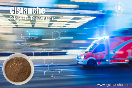 25% ECHINACOSIDE CISTANCHE FOR PRESERVING KIDNEY FUNCTION 